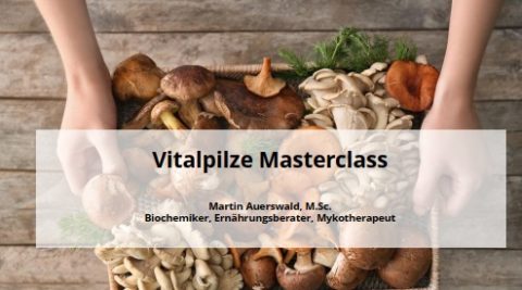 Martin-Auerswald-Vitalpilze-Masterclass