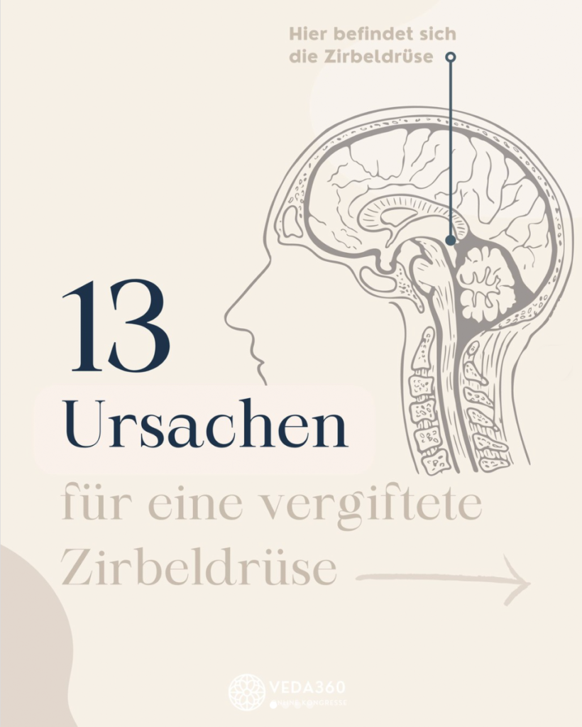 13 ursachen vergiftete Zwirbeldrüse