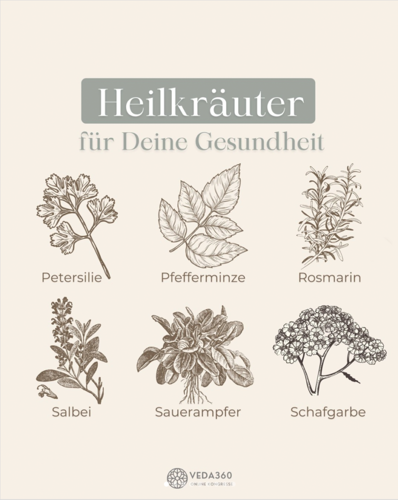 Heilkräuter für deine Gesundheit