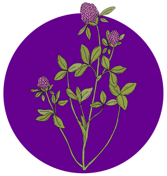 Veda Pflanzenmedizin Logo Icon