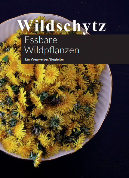 Wildschytz Wildkräuter