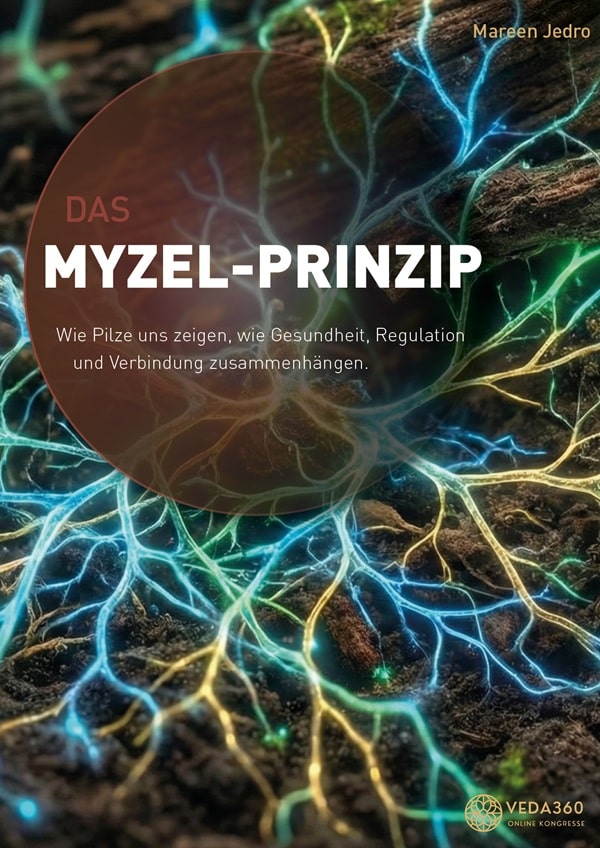 Mareen Jedro - Das Myzel-Prinzip