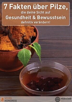 Myzel Kongress - Freebie_7 Fakten über Pilze