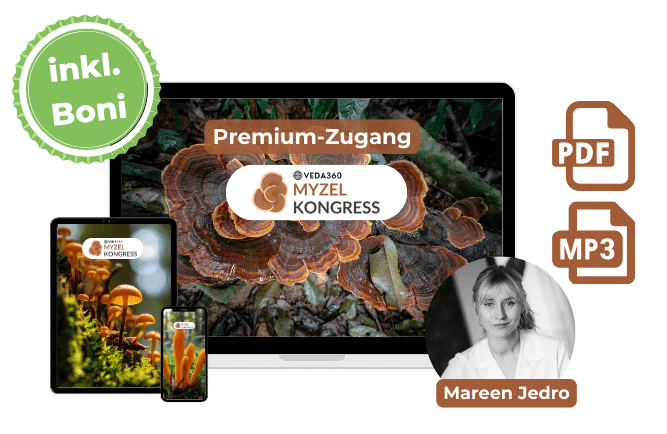 VEDA Myzel AIO Mockup