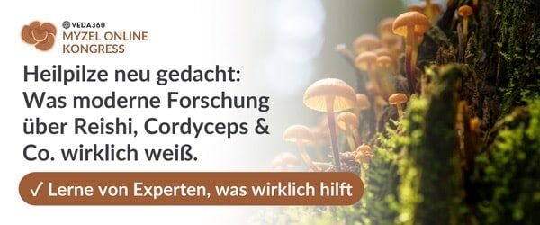 VEDA Myzel_MailBanner_600x250 - 1