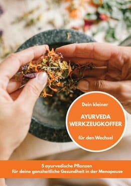 Freebie | Dein kleiner Ayurveda-Werkzeugkoffer
